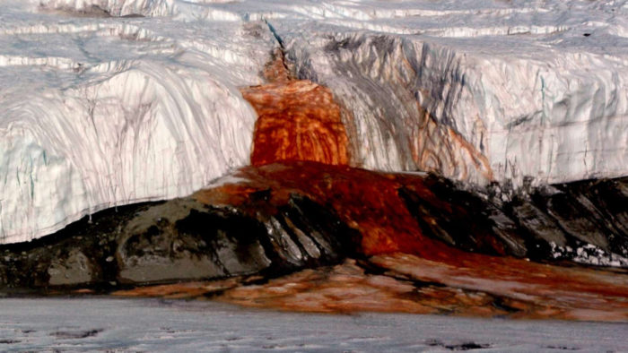 blood-glacier-50322