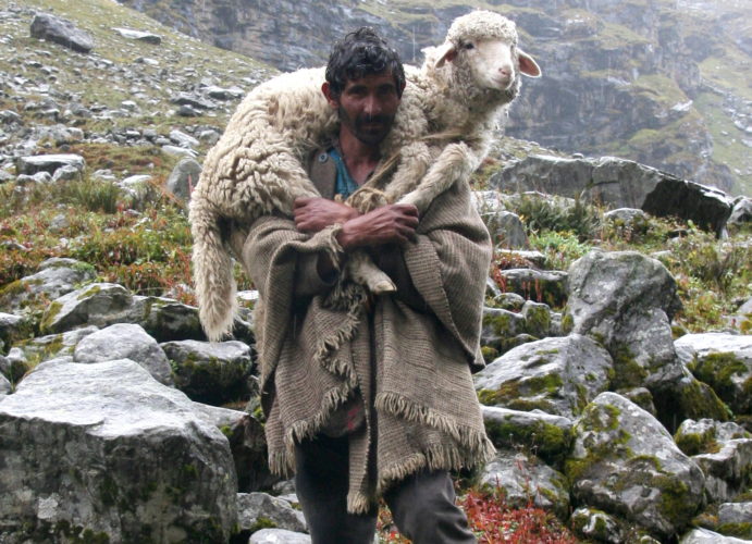 shepherd_on_the_way_to_hampta_pass1