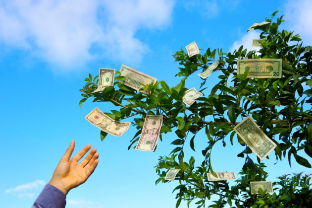 Money-Tree-Damon_Moss-630x419