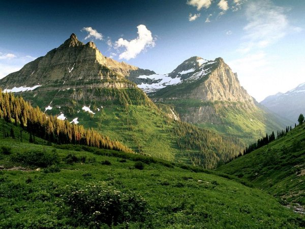 amazing-green-mountains-with-trees-lanscape-wallpaper