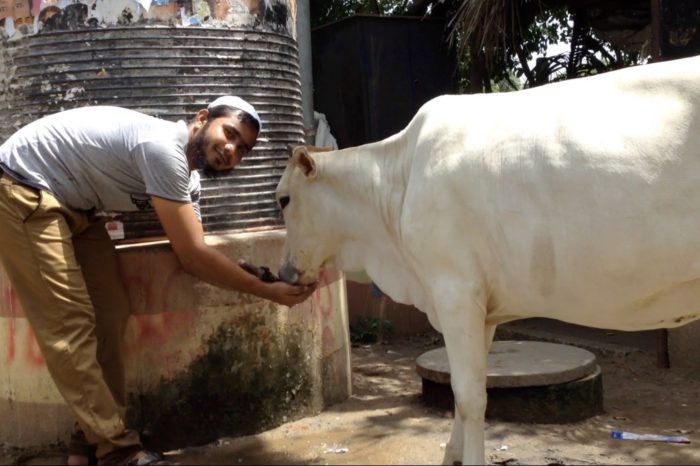 समाज को जोड़ती गौ रक्षा....